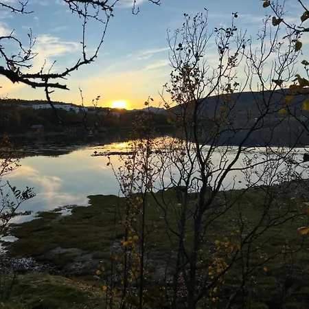 Wonderful Seaview 公寓 特罗姆瑟